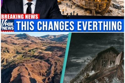 What Lies Beneath the Soil? The Astonishing Findings Inside a Sealed Chamber That Might Finally Solve the Noah’s Ark Mystery