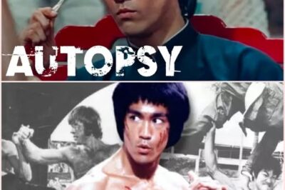 Bruce Lee Was 32, Invincible—and Dᴇad Overnight: The Official Story Still Doesn’t Add Up
