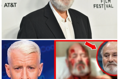 WHAT NEW SHOCKING DETAILS HAVE EMERGED IN THE INVESTIGATION INTO ROB REINER’S WIFE