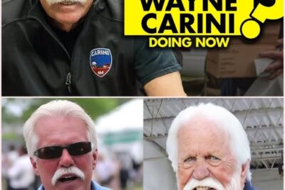 Why Wayne Carini Walked Away from TV Fame—and What He’s Doing Instead Will Surprise You