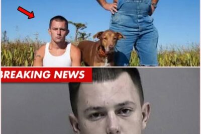 Swamp Hero to Alleged Criminal: The Arrest That Destroyed Nicholas Payne’s Reality-TV Image