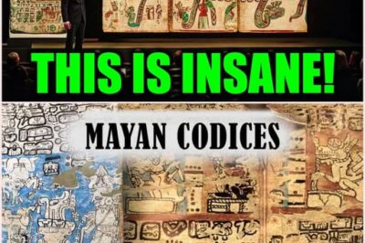 🗿⚠️🌌 A Lost Maya Manuscript Finally Speaks—and Its Warnings About the Sky and Human Bloodshed Are Going Viral