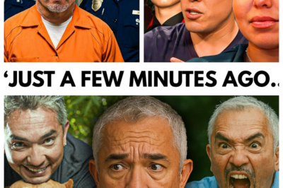 Cesar Millan’s Final Sentencing. Goodbye Forever!