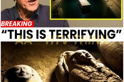 Archaeologists in Shock: A Giant Stone Coffin Found FLOATING in a Hidden Underground Lake Beneath Giza And What They Found Around It Is Terrifying