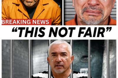 Cesar Millan From Dog Whisperer COLLAPSES in Court After Hearing His Sentence…