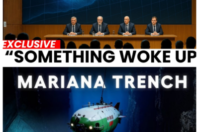 Something Mechanical Just Moved in the Mariana Trench — And Camera’s Now Exposed The Worst