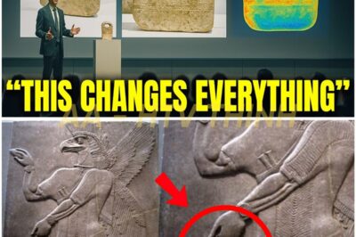 Man Discovers Mysterious Ancient Sumerian Handbag — What He Uncovered Inside Shocked Scientists