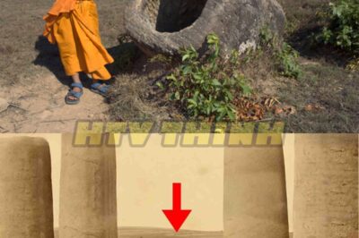 “Death Factory Exposed: The Sinister Truth Behind the Skulls and Bones of the Forgotten! 💀” – In a shocking revelation that has left researchers and the public horrified, what was believed to be a simple study of burial urns has unveiled a nightmarish system designed to purify the human soul. As hidden skulls and the bones of infants emerge from the shadows, the haunting question remains: who orchestrated this macabre operation, and why? Prepare for a journey into the darkest corners of humanity! 👇