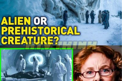 Antarctica’s Forbidden Zone: Leaked Testimony Reveals a Warm, Self‑Powered Base Buried for 34 Million Years!”   Radiant stone, no power grid, no decay. Satellite gravity maps now confirm a metallic anomaly the size of a city. Linda Moulton Howe followed the trail — and what she recorded before she vanished still terrifies intelligence insiders.👇