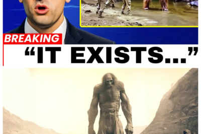 Scientists Finally Solved The Kandahar Giant Mystery – The Discovery Left Everyone Speechless