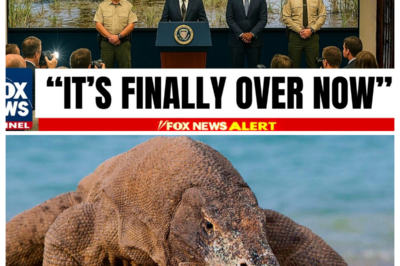 Florida Released Thousands of Komodo Dragons — What They Finally Found Is Terrifying