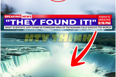 Something Beneath Niagara Falls Forced Scientists to Stop Talking, and the Silence Is Getting Louder