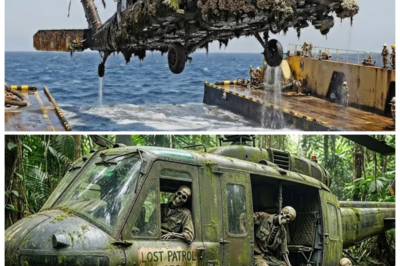 🚁 “Abandoned in the Jungle Since the War – Black Hawk Helicopter Fully Restored! What They Found Inside Will Shock You!” After decades of being abandoned in the jungle, a Black Hawk helicopter has been fully restored to its original glory — but what experts uncovered during the restoration process is far darker than anyone expected. Hidden inside the wreckage were unreported military gadgets, cryptic messages, and disturbing signs of secret operations. The shocking truth behind its abandonment and what it was hiding will change everything we thought we knew about covert military missions 👇