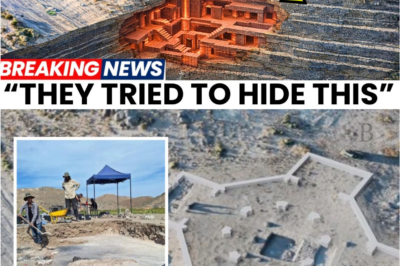 Sealed for Centuries: The Lost Gospel Found Beneath an Ancient Armenian Church