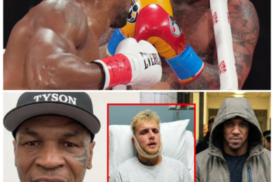 🐘 Mike Tyson Speaks Out: ‘I Can’t Help Him!’ After Joshua’s Shocking Encounter with Jake Paul! 😱 In a dramatic turn of events, Mike Tyson has broken his silence regarding Anthony Joshua’s recent confrontation with Jake Paul, where tensions escalated to alarming levels. “I can’t help him!” Tyson exclaimed, emphasizing the unpredictable nature of boxing and celebrity interactions. Join us as we delve into Tyson’s reaction and the implications of this intense encounter!👇