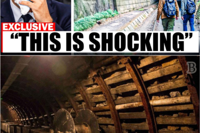 Buried Since 1945: Inside the Nazi Tunnel in the Owl Mountains That Was Never Meant to Be Opened