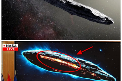 🐘 “James Webb Telescope’s Shocking Find: Artificial Lights Detected on 3I/ATLAS! 🌠🔍” “Every discovery brings us closer to understanding our place in the universe!” In an astonishing turn of events, the James Webb Telescope has identified what seems to be artificial lights on the asteroid 3I/ATLAS. This groundbreaking observation has sparked excitement and curiosity in the scientific community, prompting urgent investigations into what these lights could mean for the search for extraterrestrial life. What will this discovery reveal? Join us as we delve into the implications of this find! 👇