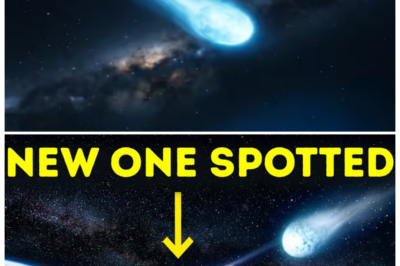 🐘 NASA Discovers Sister Comet to 3I/ATLAS Racing Toward Our Planet! 🌠 “Could this change our understanding of comets?” In a remarkable find, NASA has discovered a “sister” comet to 3I/ATLAS that is on a collision course with Earth. This discovery has sparked interest among scientists and the public alike. What characteristics does this comet share with its counterpart, and what does it mean for Earth? Don’t miss the latest insights on this cosmic phenomenon! 👇
