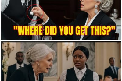 Billionaire Grandma Froze at Black Waitress’s Necklace — Then She Burst Into Tears and Hugged Her