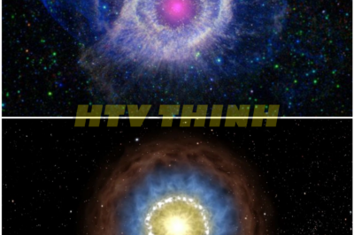 Scientists Caught Ancient Light From Another Solar System, and What It Reveals Is Quietly More Disturbing Than Alien Life