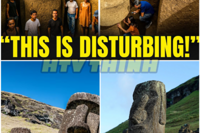 Easter Island’s Silent Secret: What Was Found Underground Is Dividing Experts Worldwide