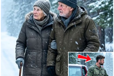 From Despair to Hope: The Incredible Rescue of an Elderly Couple by a Brave Ex-Navy SEAL!