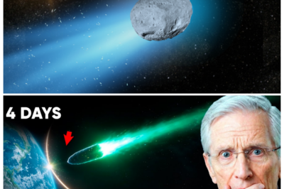 🐘 “3I/ATLAS Set for Close Encounter: Is Our Planet at Risk? 🌍 In just four days, 3I/ATLAS will pass closer to Earth than ever before, prompting urgent discussions about its threat level! “When the cosmos comes knocking, we must be ready!” As scientists gather data and prepare for the encounter, the public is left wondering: what happens if things go wrong? What precautions are in place? 👇