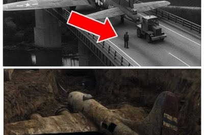 WWII Plane Vanished in 1945 — 80 Years Later, President Trump Made a Shocking Discovery…