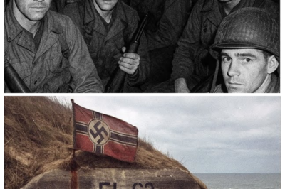 American Squad Vanished in WW2 — 50 Years Later, The Reopened Nazi Bunker Stuns Investigators…