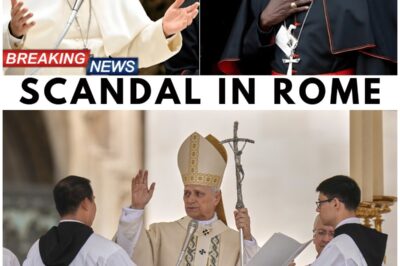 ⚔️ Pope Leo XIV Removes 12 Bishops From Their Roles In A Dramatic Purge That Has Rocked The Vatican