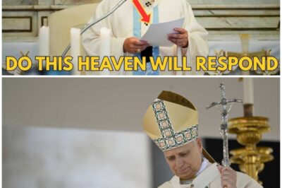 Pope Leo XIV, Do This With Your Rosary and Heaven Will Respond