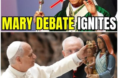 Pope Leo XIV BREAKS SILENCE on Catholic Crisis Over His Rule REJECTING MARY AS CO-REDEMPTRIX– SHOCK.