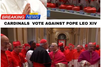 Cardinals secretly vote against Pope Leo XIV — but his next move changes the balance of power