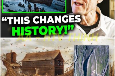 Scientists Make Groundbreaking Discovery Inside Noah’s Ark in Turkey — What They Found Will Stun You! 😱🚪