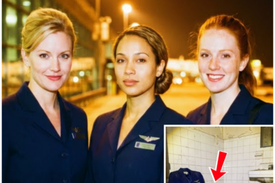 😱 Three Flight Attendants Vanished From a Vegas Hotel in 1996 – 28 Years Later a Hidden Wall Is Opened 😱 – HTT
