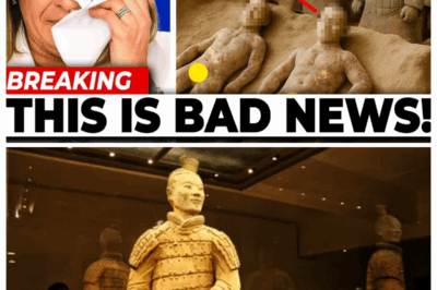 Top Terracotta Army Mystery Solved in 2025, And It’s Not Good.