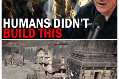 WHAT DID SCIENTISTS REALLY DISCOVER ON TOP OF A REMOTE MOUNTAIN