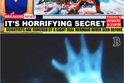 ❄️ The Greenland Mermaid Footage That Terrified Researchers and Rewrote Ocean Legends