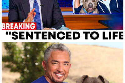 CESAR MILLAN, the famous “DOG WHISPERER,” Has Been SENTENCED TO LIFE IMPRISONMENT—And the News Has SHOCKED Fans Worldwide. What Led the Beloved Dog Trainer From Hollywood Fame to a Life Behind Bars, Which Controversies and Allegations Sealed His Fate, and How Could This Change the Legacy of a Man Once Celebrated for Saving Dogs and Families Alike? A Courtroom Drama, Emotional Testimonies, and One ELECTRIC Question Leave Everyone Wondering: How Did Cesar Millan Go From Hero to Convict? 👉 Click the Article Link in the Comment to Uncover the FULL STORY Behind His Life Sentence.
