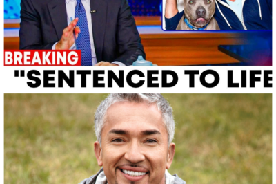 Cesar Milan From Dog Whisperer Sentenced To Life Imprisonment