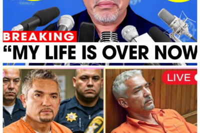 CESAR MILLAN BREAKS DOWN IN TEARS After Being SENTENCED TO LIFE IN PRISON—The Beloved “DOG WHISPERER” Stood in Court, Overcome with Emotion, as His Fate Was Sealed. What Led to This Dramatic Moment, How Did the Court Arrive at Such a Harsh Verdict, and Why Are Fans and the Public Reacting With Shock and Sympathy? A Heart-Wrenching Scene, Emotional Testimonies, and One ELECTRIC Question Leave Everyone Asking: How Could a Man Who Helped So Many Dogs End Up Here? 👉 Click the Article Link in the Comment to Witness the FULL STORY of Cesar Millan’s Heartbreaking Sentencing.