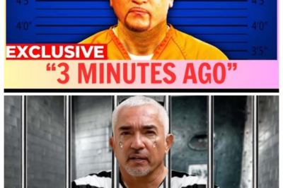 Cesar Millan Sentenced to Life in Prison? The Truth Behind the Shocking News | Then and Now 2025