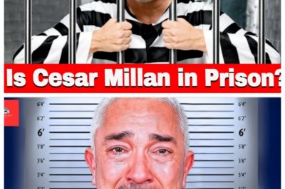 Was Cesar Millan Really Sentenced to Life in Prison? Here’s the Truth