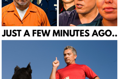 CESAR MILLAN’S FINAL SENTENCING—GOODBYE FOREVER? The Beloved “DOG WHISPERER” Faces What Headlines Claim Is the End of His Freedom, Leaving Fans Shocked and Heartbroken. What Really Happened in Court, Why Are the Details Sparking Controversy, and Could This Moment Truly Mark the Close of His Public Legacy? A Dramatic Verdict, Emotional Reactions, and One ELECTRIC Question Have the World Asking: Is This the True End for Cesar Millan, or Is There More to the Story Than We’ve Been Told? 👉 Click the Article Link in the Comment to Discover the FULL STORY Behind the Headlines.