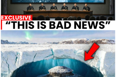 When a 1,100-Foot Antarctic Ice Wall Vanished, It Revealed a Lost World of Ancient Forests, Strange Creatures, and Climate Secrets Frozen for 120,000 Years