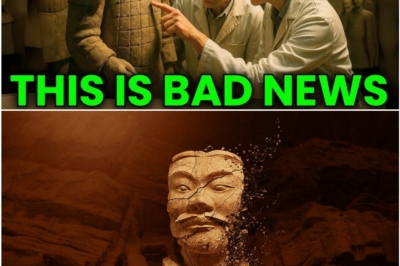 Terracotta Army Secrets Finally Revealed — Historians Are Shaking