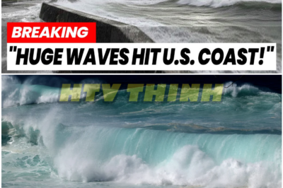 Unusual Ocean Activity Sparks Quiet Panic as Experts Struggle to Explain What Comes Next