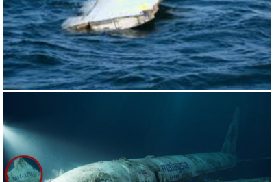 💥 “MH370 FINALLY FOUND: 11 Years Lost in the Deep Ocean — What Experts Discovered Will Terrify You!” After 11 long years of searching, MH370 has finally been found deep in the ocean, and the discoveries inside the wreckage are more terrifying than anyone could have imagined. Experts have uncovered hidden clues, disturbing remnants, and strange objects that suggest the plane’s disappearance wasn’t just an accident. The shocking truth behind the wreckage could rewrite everything we thought we knew about this infamous aviation mystery 👇