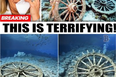 Beneath the Red Sea: Divers Discover a 1.5-Mile Chariot Graveyard That Shakes History