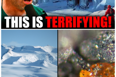 🧠 Beneath 3 Miles of Ice: The Antarctic Structure That Should Not Exist